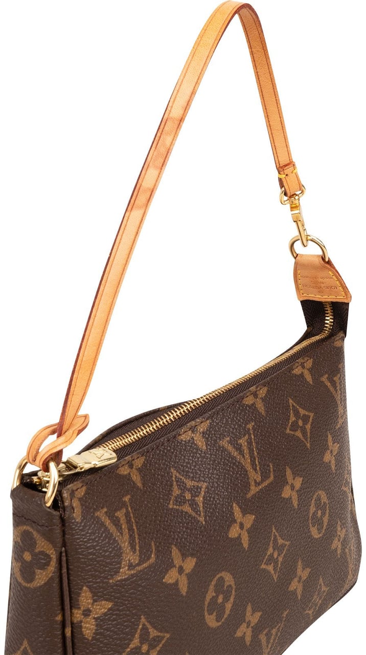 Louis Vuitton Monogram Canvas Pochette Accessoires Handbag Bruin