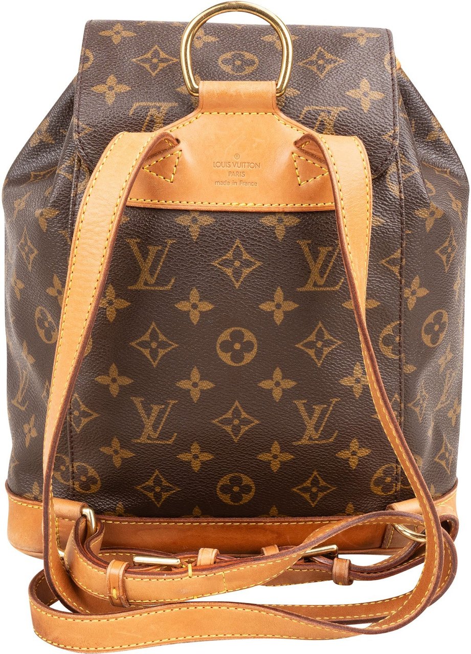 Louis Vuitton Monogram Canvas Montsouris MM Backpack Bruin