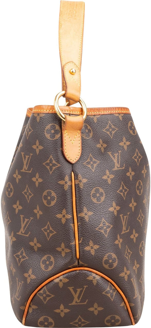 Louis Vuitton Monogram Canvas Delightful PM Shoulder Bag Bruin