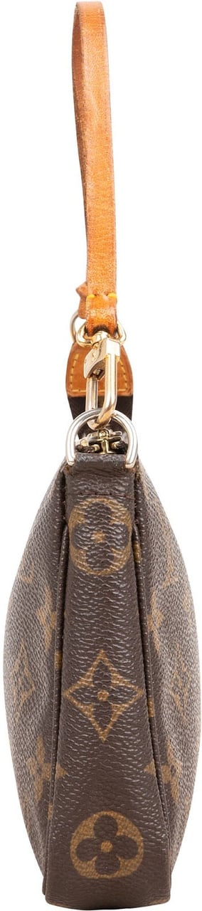 Louis Vuitton Monogram Canvas Pochette Accessoires Handbag Bruin