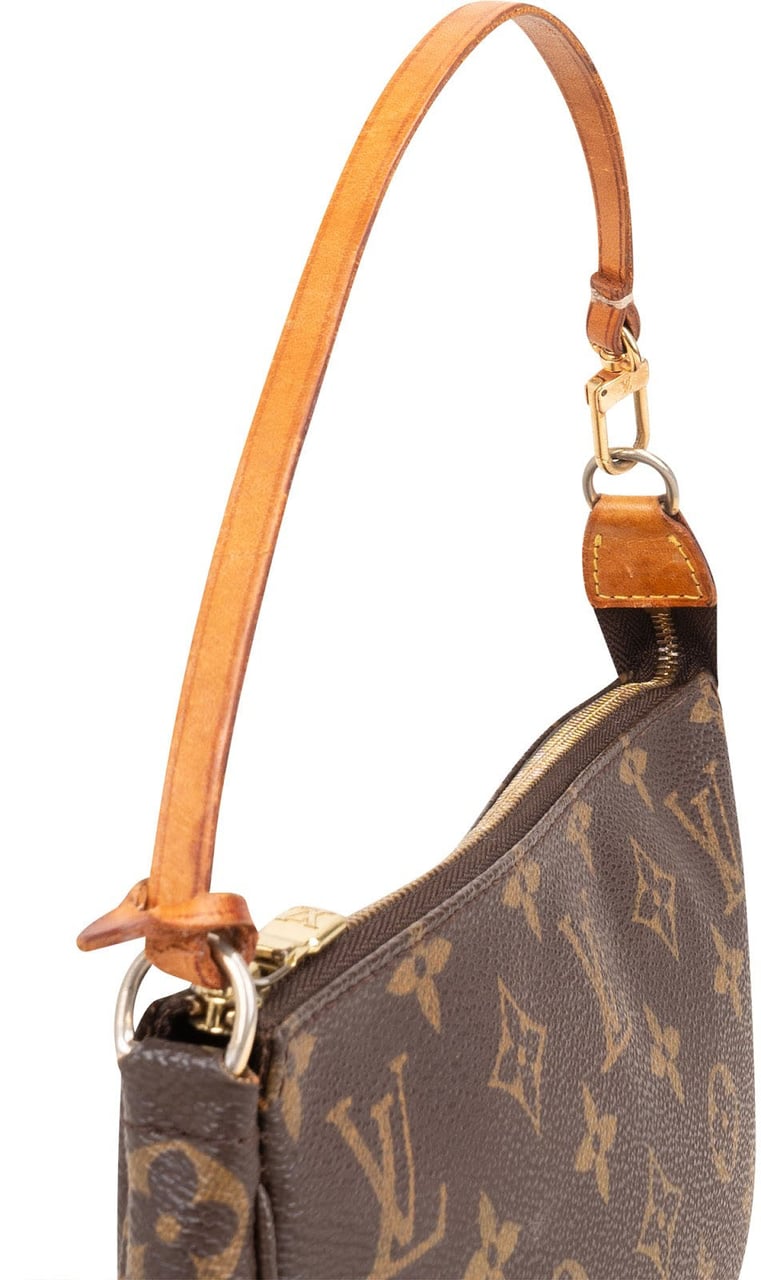 Louis Vuitton Monogram Canvas Pochette Accessoires Handbag Bruin