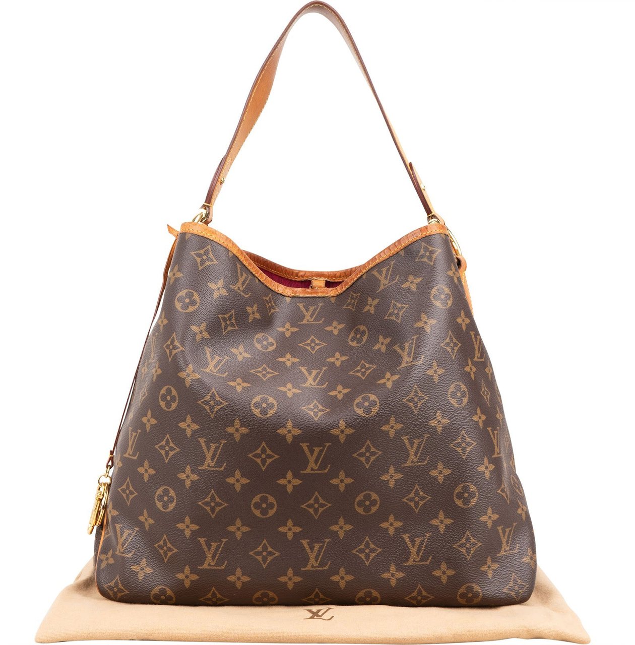 Louis Vuitton Monogram Canvas NM Delightful MM Shoulder Bag Bruin