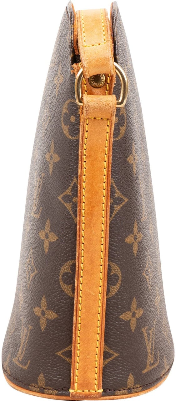 Louis Vuitton Monogram Canvas Drouot Crossbody Bag Bruin
