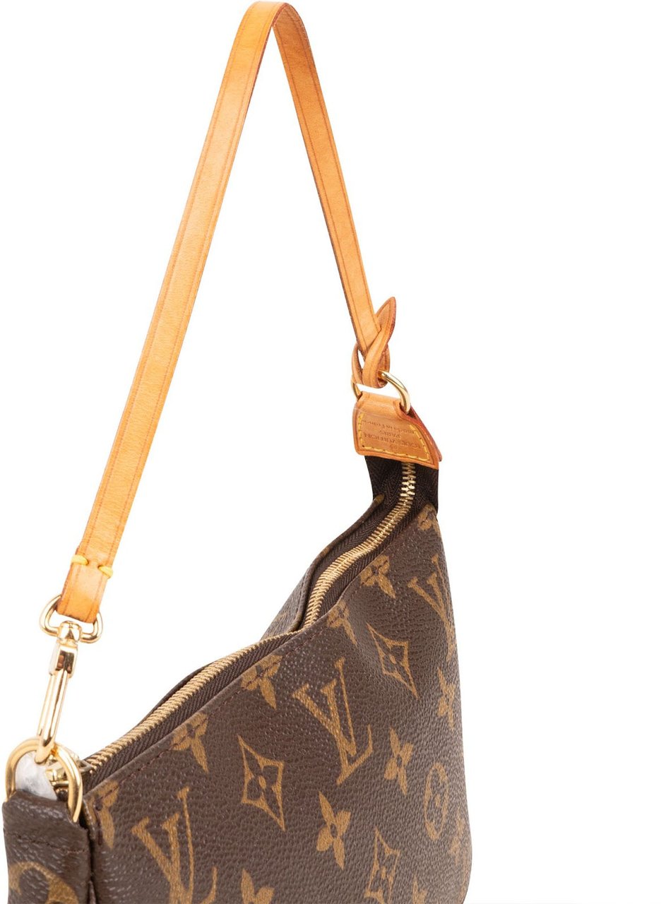 Louis Vuitton Monogram Canvas Pochette Accessoires Handbag Bruin