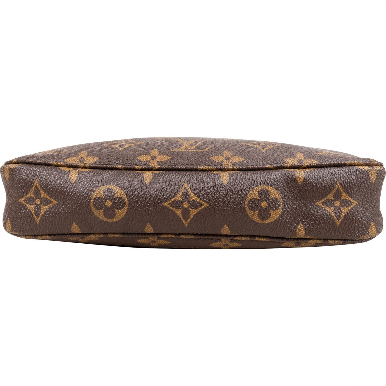 Louis Vuitton Monogram Canvas Pochette Accessoires Handbag Bruin