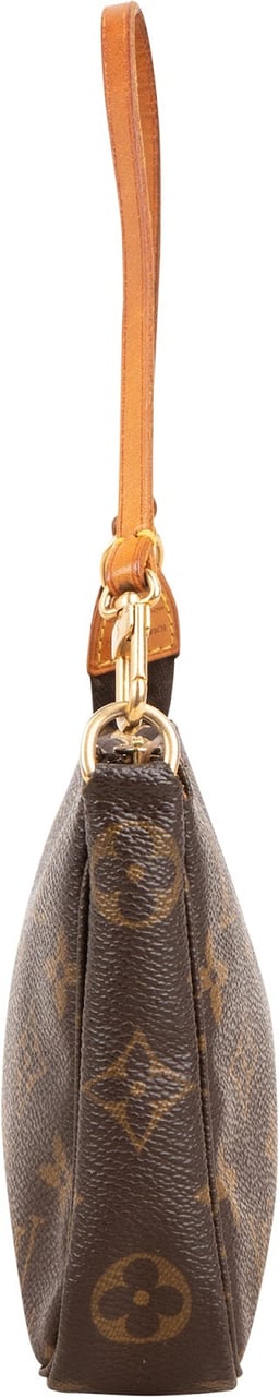 Louis Vuitton Monogram Canvas Pochette Accessoires Handbag Bruin