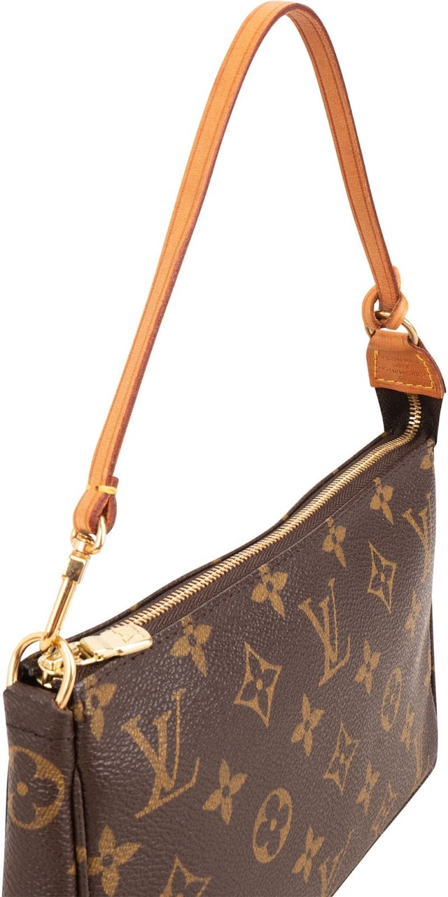 Louis Vuitton Monogram Canvas Pochette Accessoires Handbag Bruin