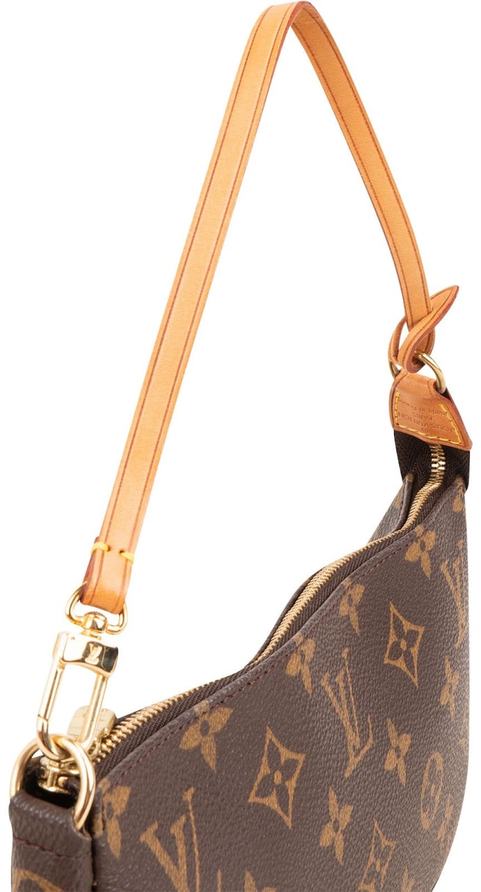 Louis Vuitton Monogram Canvas Pochette Accessoires Handbag Bruin