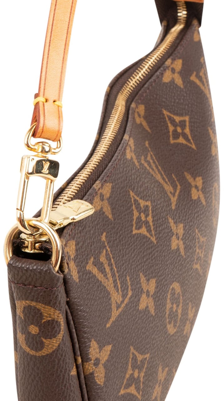 Louis Vuitton Monogram Canvas Pochette Accessoires Handbag Bruin