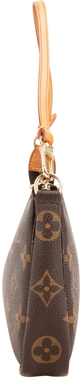 Louis Vuitton Monogram Canvas Pochette Accessoires Handbag Bruin
