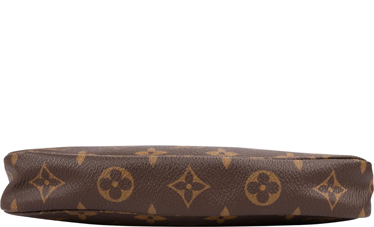 Louis Vuitton Monogram Canvas Pochette Accessoires Handbag Bruin
