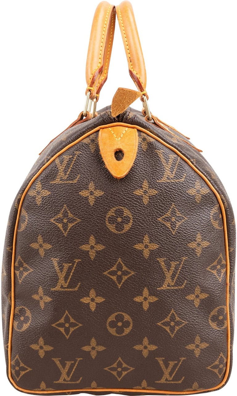 Louis Vuitton Monogram Canvas Speedy 30 Handbag Bruin