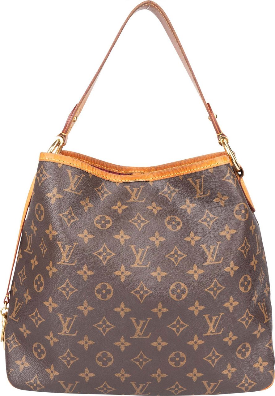 Louis Vuitton Louis Vuitton Canvas Monogram NM Delightful PM Handbag Bruin