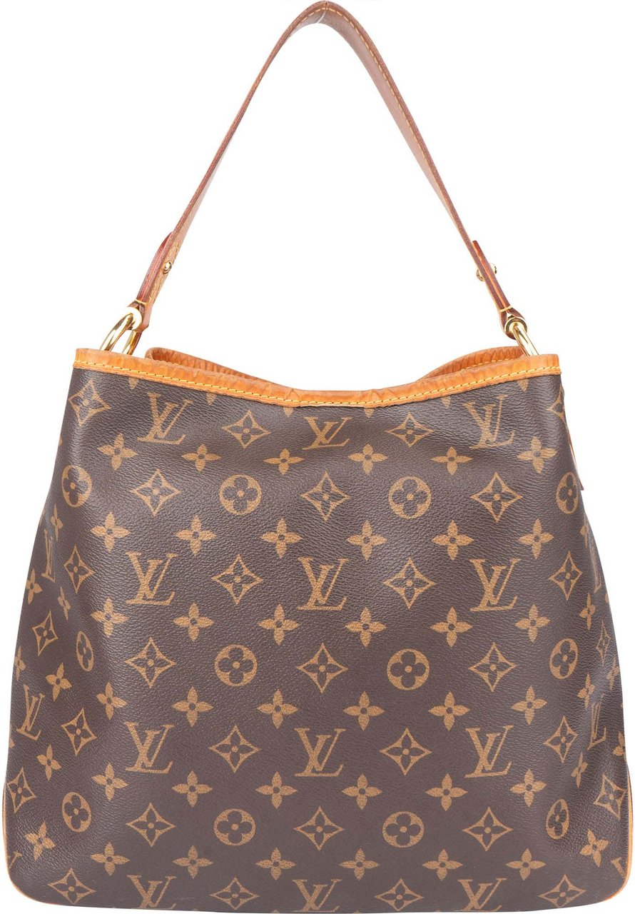 Louis Vuitton Louis Vuitton Canvas Monogram NM Delightful PM Handbag Bruin