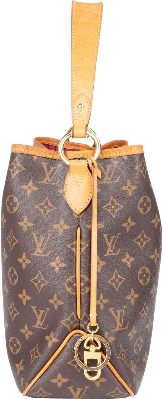 Louis Vuitton Louis Vuitton Canvas Monogram NM Delightful PM Handbag Bruin