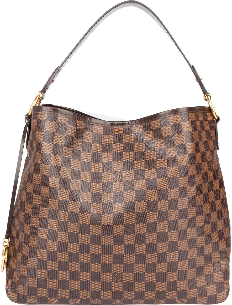 Louis Vuitton Louis Vuitton Damier Ebene Monogram NM Delightful Handbag Divers