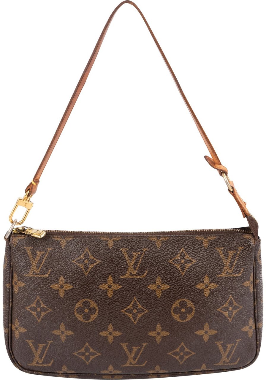 Louis Vuitton Monogram Canvas Pochette Accessoires Handbag Bruin