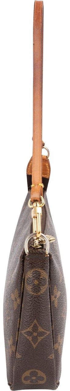 Louis Vuitton Monogram Canvas Pochette Accessoires Handbag Bruin