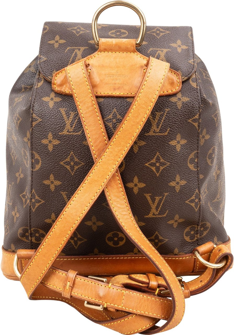 Louis Vuitton Monogram Canvas Montsouris MM Backpack Bruin