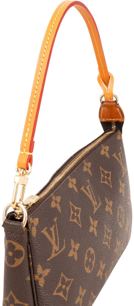 Louis Vuitton Monogram Canvas Pochette Accessoires Handbag Bruin