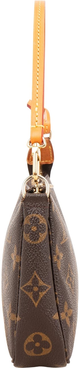 Louis Vuitton Monogram Canvas Pochette Accessoires Handbag Bruin