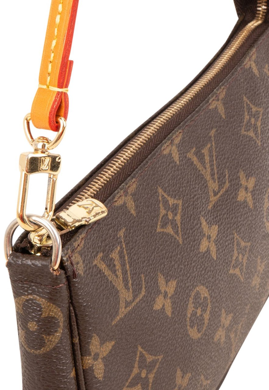 Louis Vuitton Monogram Canvas Pochette Accessoires Handbag Bruin