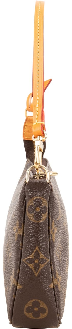 Louis Vuitton Monogram Canvas Pochette Accessoires Handbag Bruin
