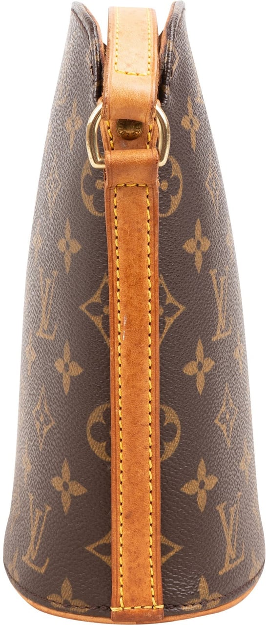 Louis Vuitton Monogram Canvas Drouot Crossbody Bag Bruin