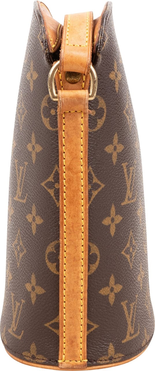 Louis Vuitton Monogram Canvas Drouot Crossbody Bag Bruin