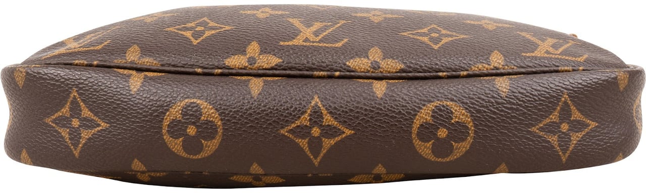 Louis Vuitton Monogram Canvas Pochette Accessoires Handbag Bruin