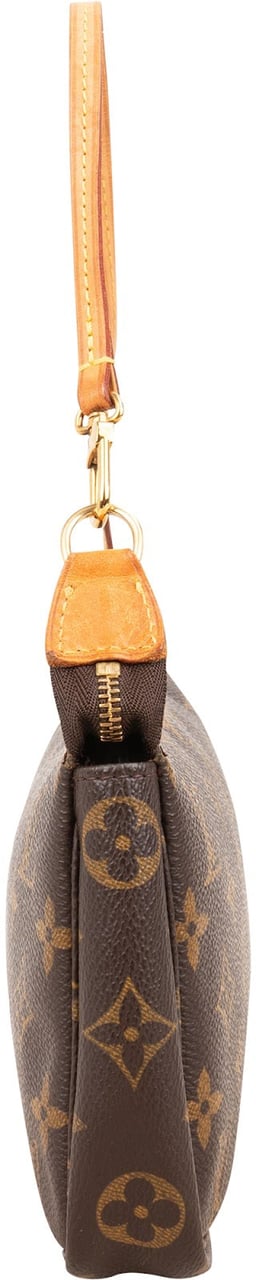 Louis Vuitton Monogram Canvas Pochette Accessoires Handbag Bruin