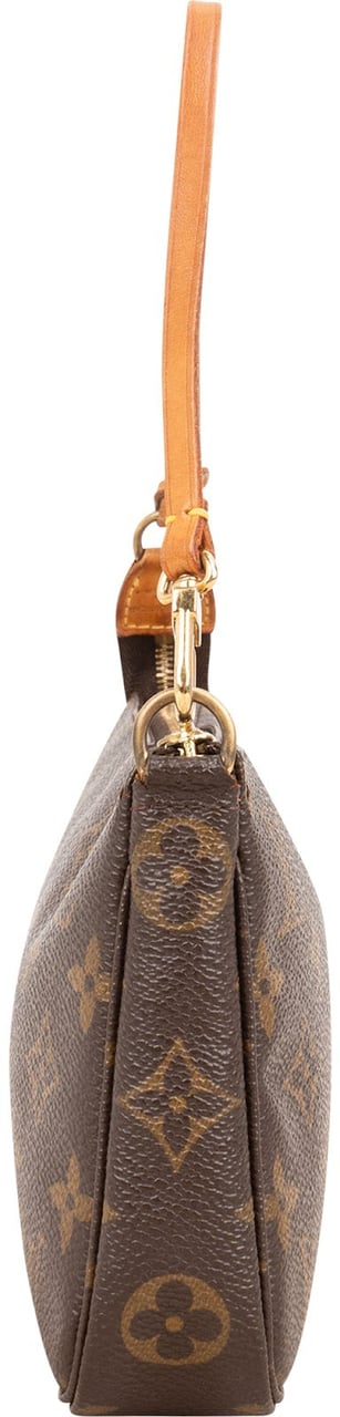 Louis Vuitton Monogram Canvas Pochette Accessoires Handbag Bruin