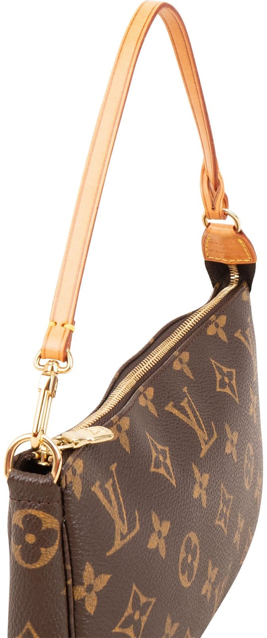 Louis Vuitton Monogram Canvas Pochette Accessoires Handbag Bruin