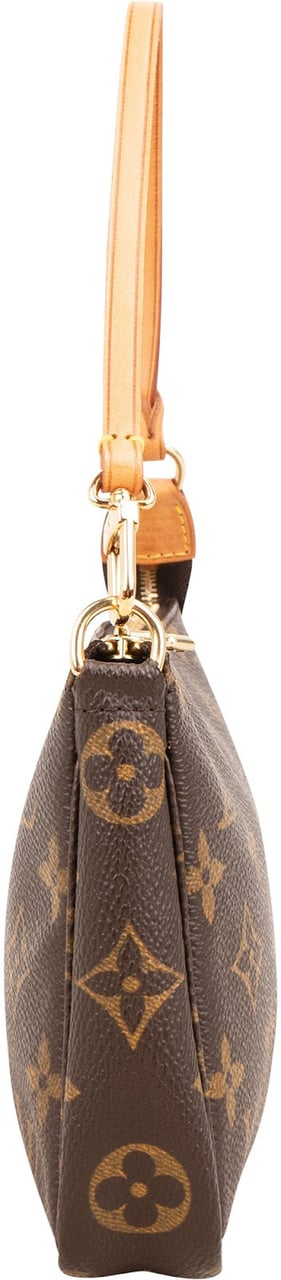 Louis Vuitton Monogram Canvas Pochette Accessoires Handbag Bruin