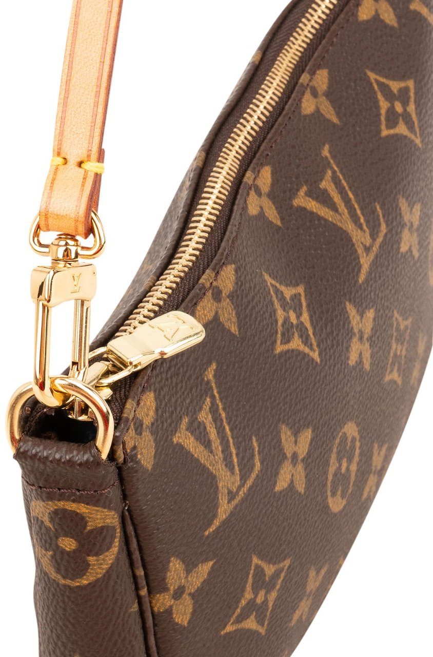 Louis Vuitton Monogram Canvas Pochette Accessoires Handbag Bruin