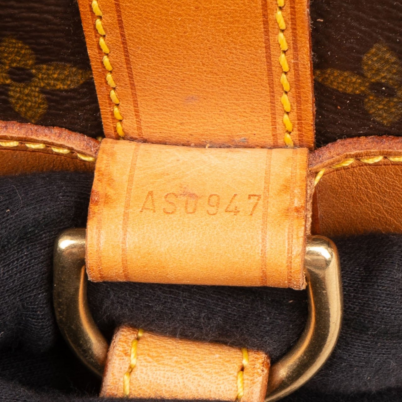 Louis Vuitton Monogram Canvas Randonnee PM Backpack Shoulder Bag Bruin