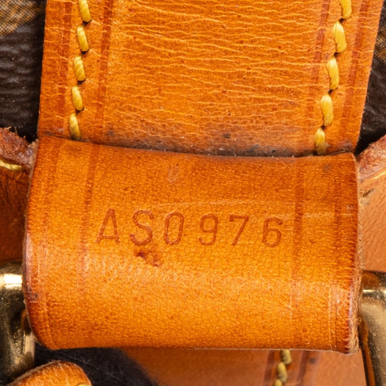 Louis Vuitton Monogram Canvas Randonnee PM Backpack Shoulder Bag Bruin
