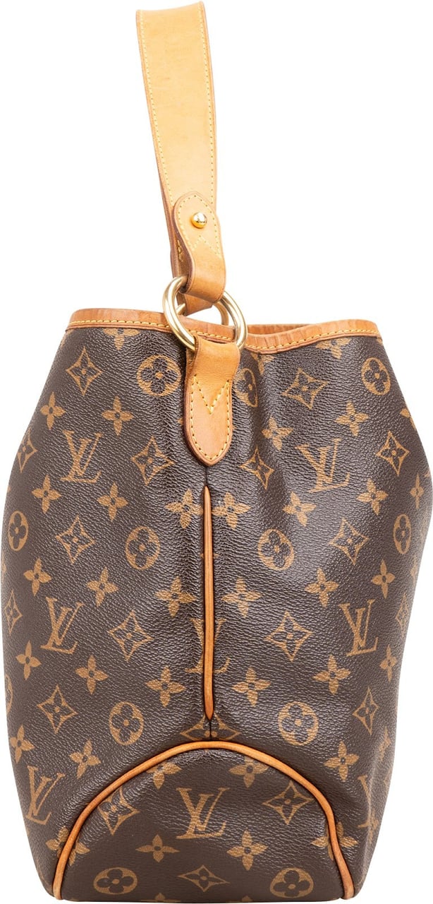 Louis Vuitton Monogram Canvas Delightful PM Shoulder Bag Bruin