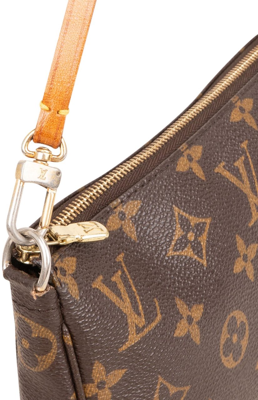 Louis Vuitton Monogram Canvas Pochette Accessoires Handbag Bruin