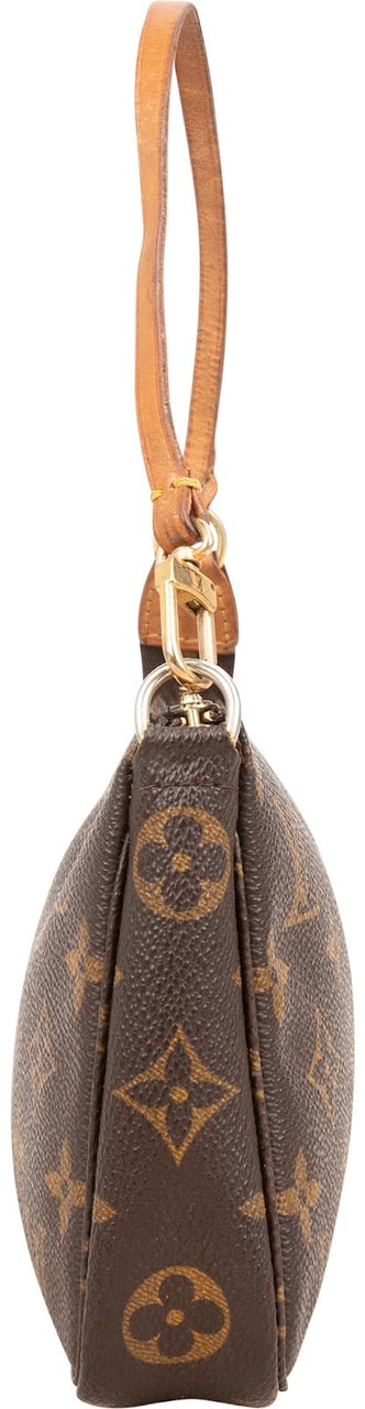 Louis Vuitton Monogram Canvas Pochette Accessoires Handbag Bruin