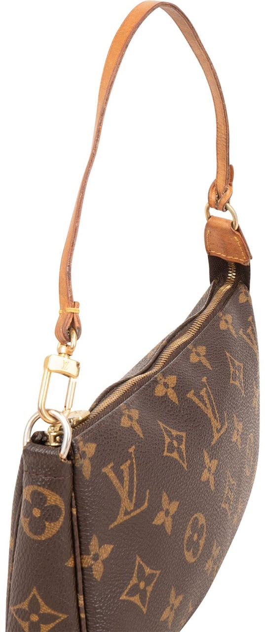 Louis Vuitton Monogram Canvas Pochette Accessoires Handbag Bruin