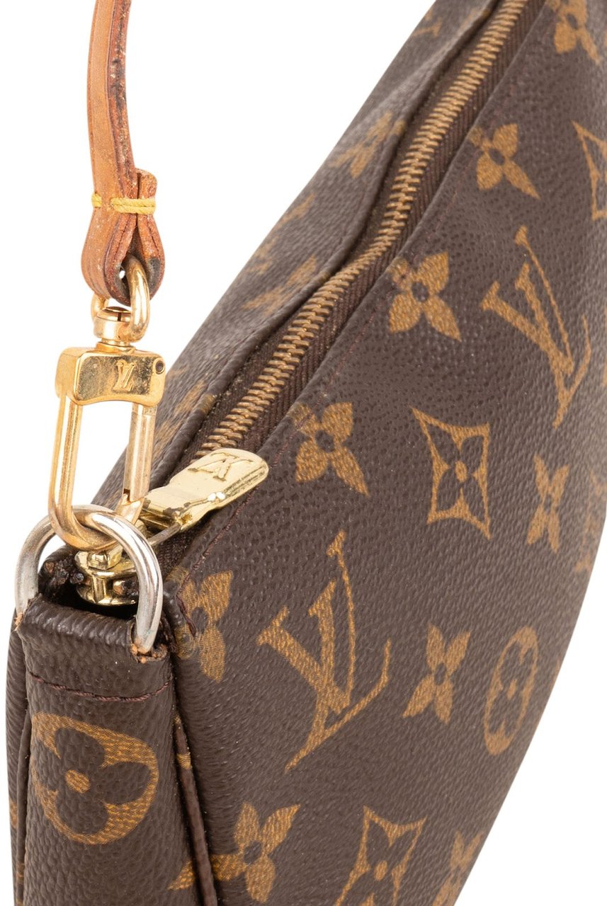 Louis Vuitton Monogram Canvas Pochette Accessoires Handbag Bruin