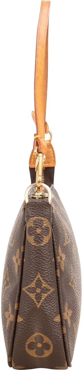 Louis Vuitton Monogram Canvas Pochette Accessoires Handbag Bruin