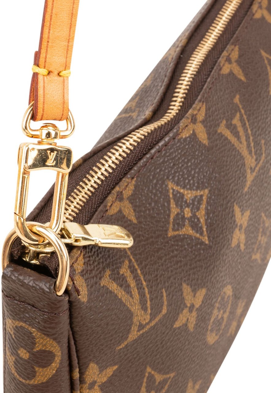 Louis Vuitton Monogram Canvas Pochette Accessoires Handbag Bruin