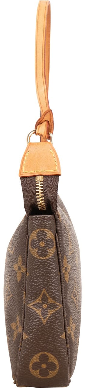 Louis Vuitton Monogram Canvas Pochette Accessoires Handbag Bruin