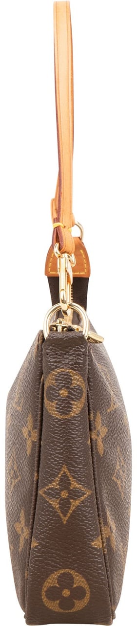 Louis Vuitton Monogram Canvas Pochette Accessoires Handbag Bruin