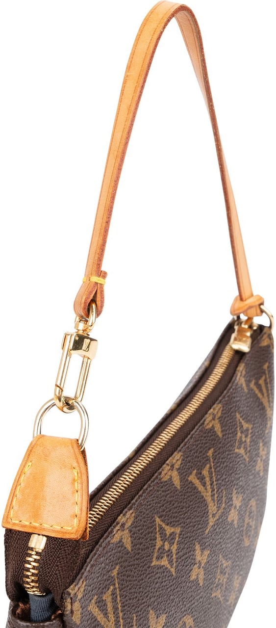 Louis Vuitton Monogram Canvas Pochette Accessoires Handbag Bruin