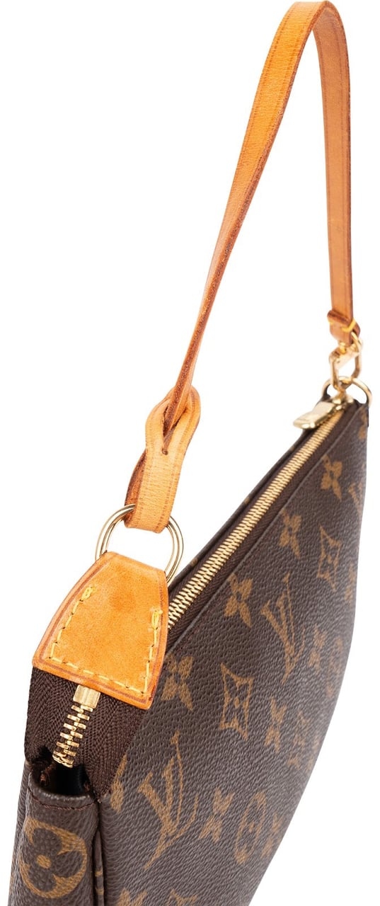 Louis Vuitton Monogram Canvas Pochette Accessoires Handbag Bruin