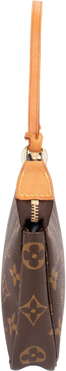 Louis Vuitton Monogram Canvas Pochette Accessoires Handbag Bruin