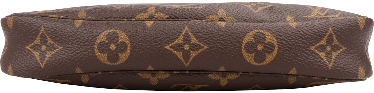 Louis Vuitton Monogram Canvas Pochette Accessoires Handbag Bruin